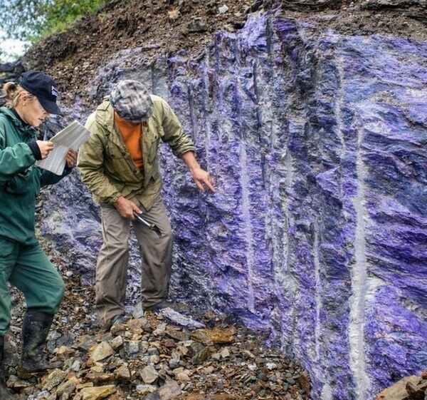 Charoite in ground where it is being mined near the Chara River in Siberia.